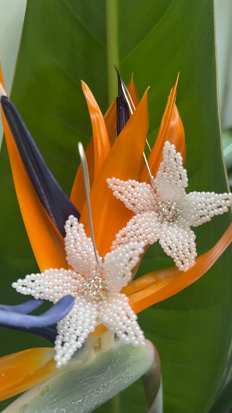 Paradise Petals