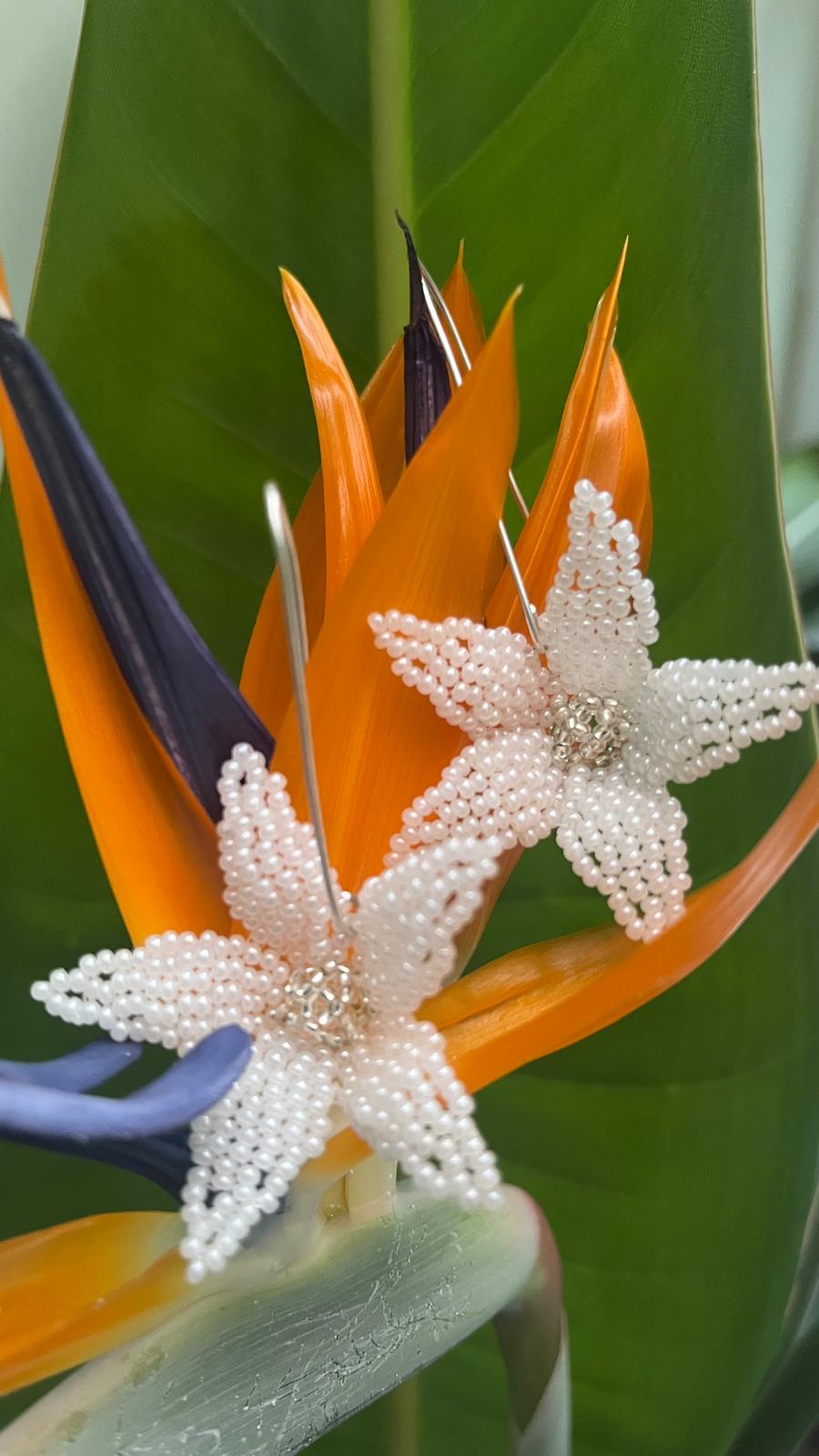 Paradise Petals