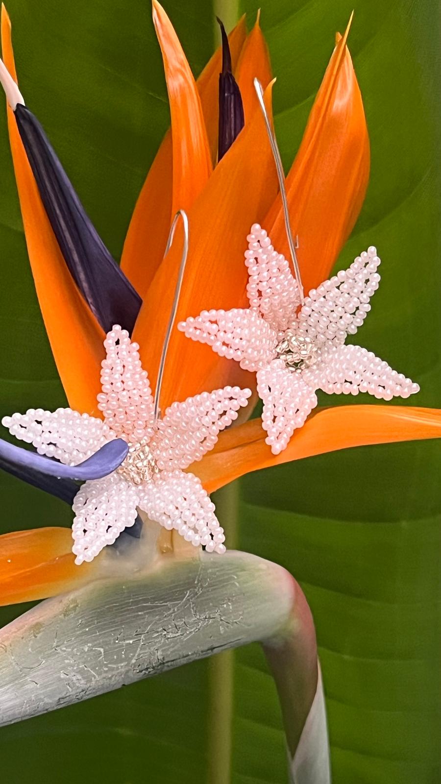 Paradise Petals