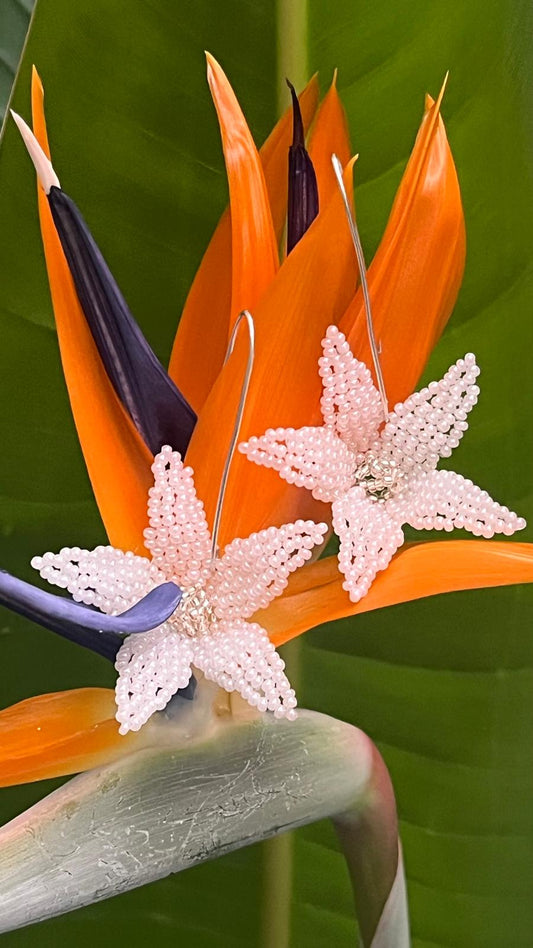 Paradise Petals